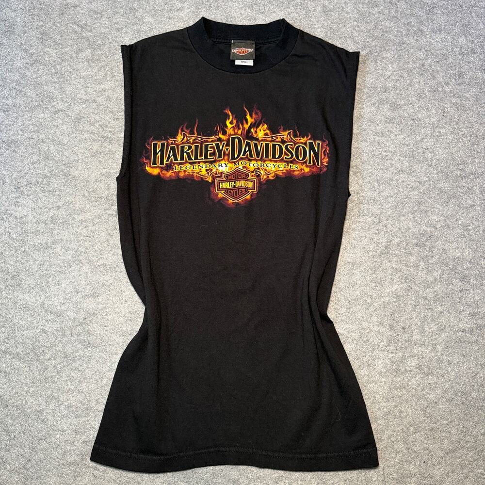 Harley-Davidson Unisex Cotton Graphic T-Shirt